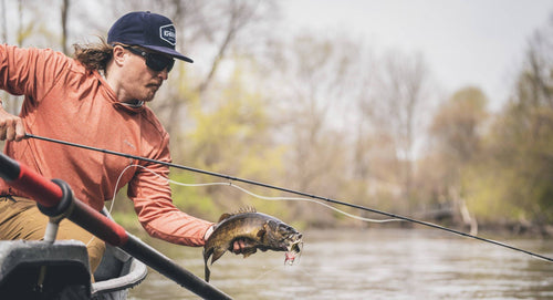 Dominate Freshwater with Three New Fly Rods